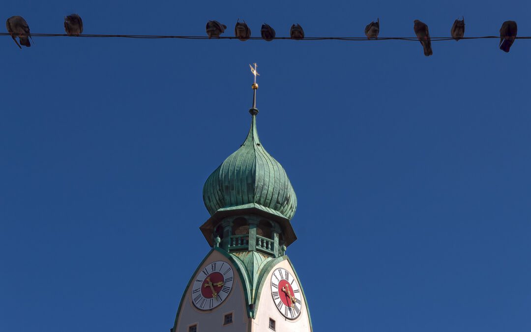 „Der Andere Leistungsanbieter“