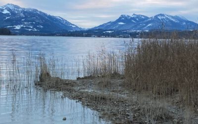 Starkwind auf dem Chiemsee: Segler nach Kenterung gerettet