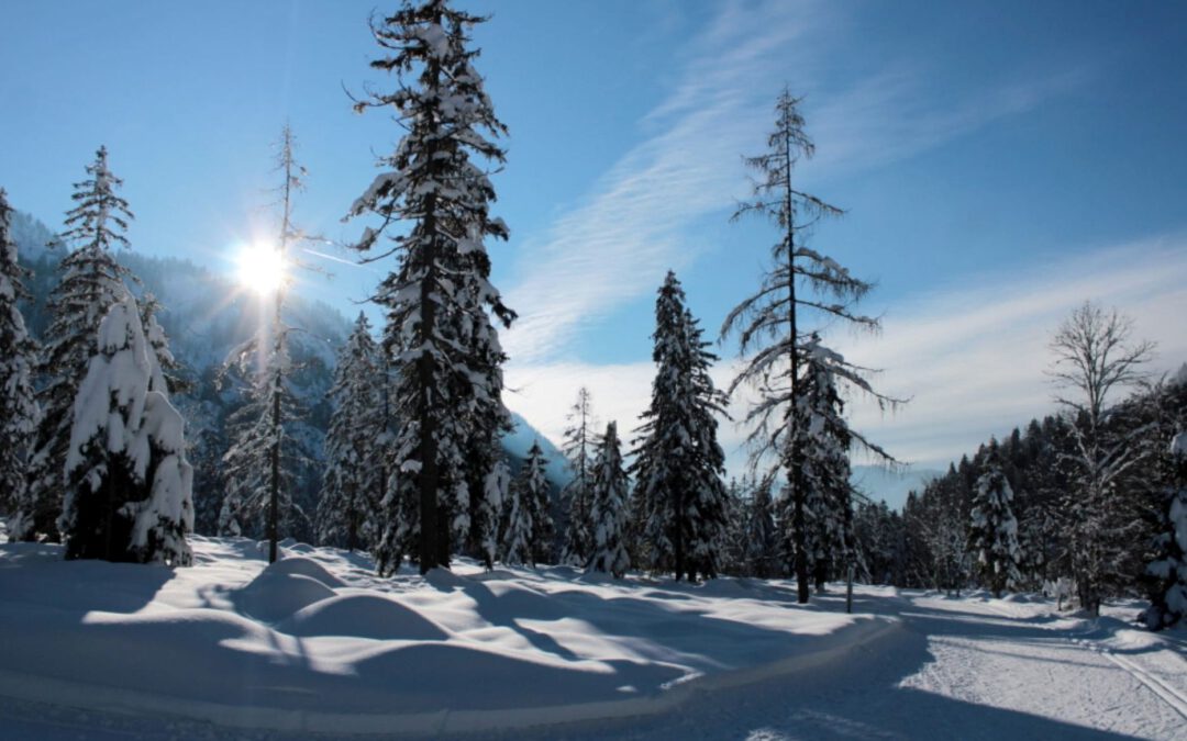 „Klein-Kanada“ bei Ruhpolding
