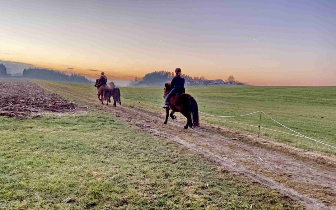 Im Galopp auf Weihnachten zu