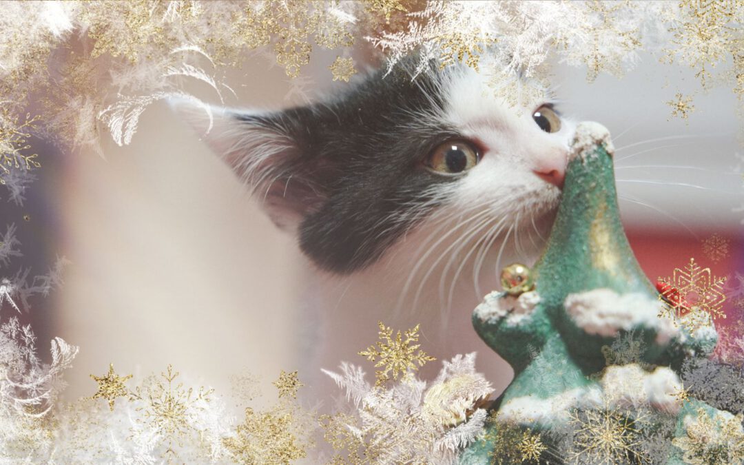 Tierische Bescherung