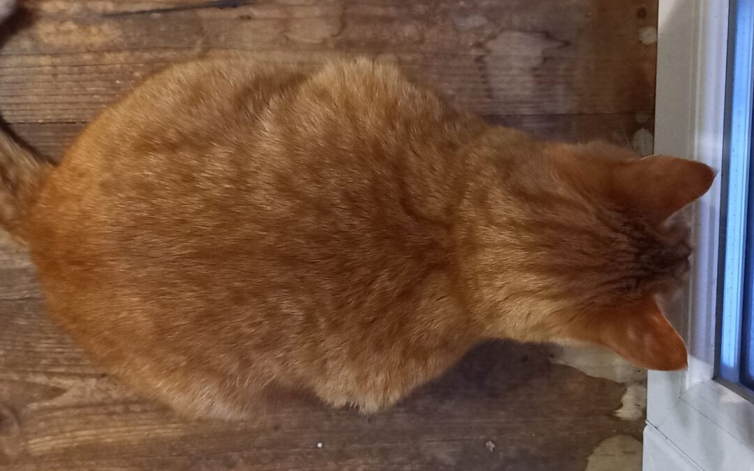 Drinnen ist es gemütlicher