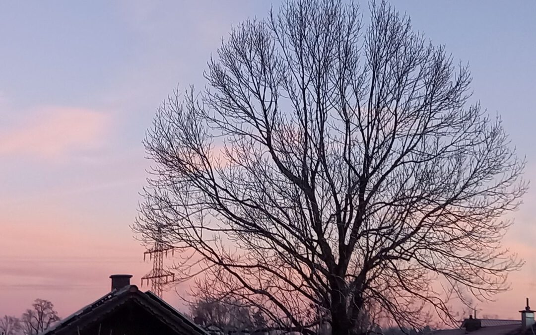 Sonnenaufgang in Pastell