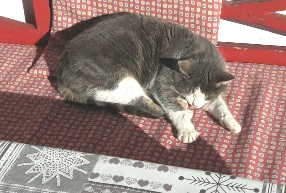 Schnell noch die Sonne genießen