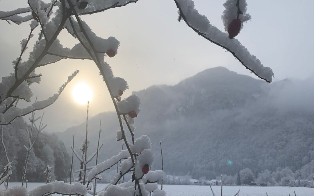 Weihnachtsgruß 2025 von Innpuls.me