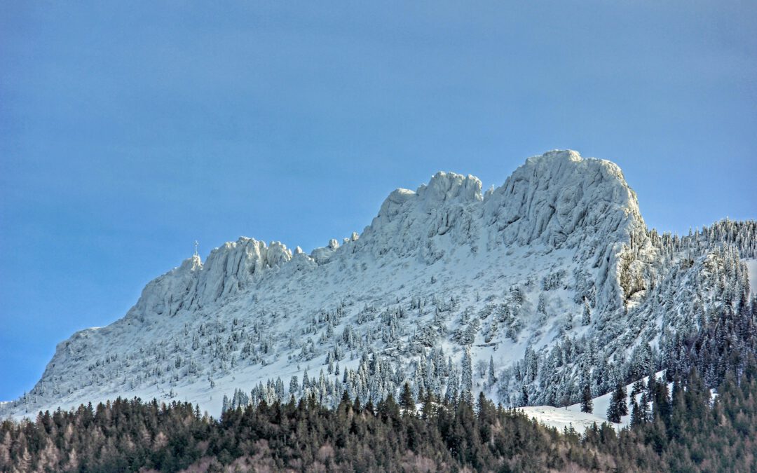 Puderzucker oder Wintertraum?