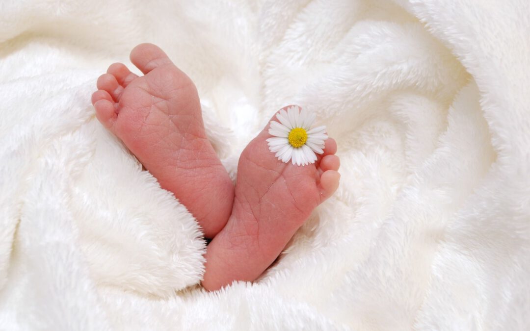 Baby-Füsschen mit einem Gänseblümchen zwischen den Zehen