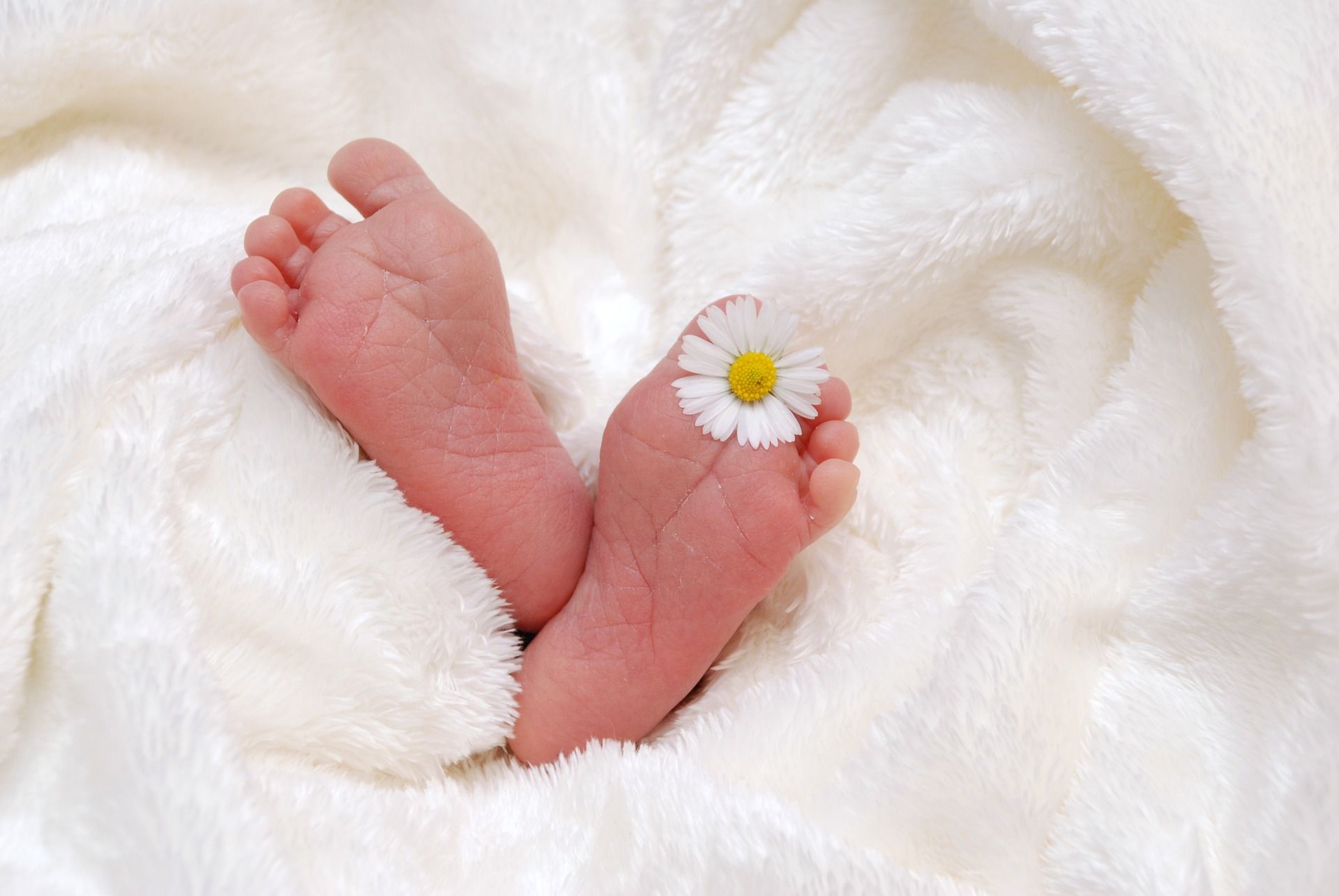 Baby-Füsschen mit einem Gänseblümchen zwischen den Zehen