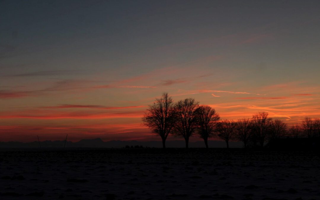 Schönen Abend