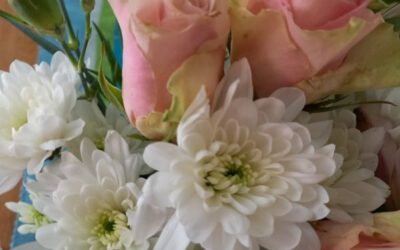 MorgenINNPULS – Schon gewusst?