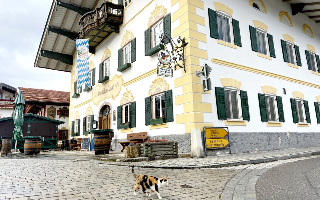 Die Glückskatze vom Samerberg