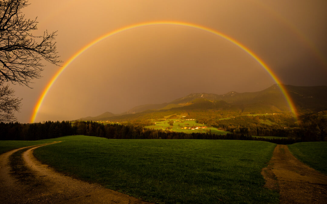 Saharastaub trifft auf Regenbogen