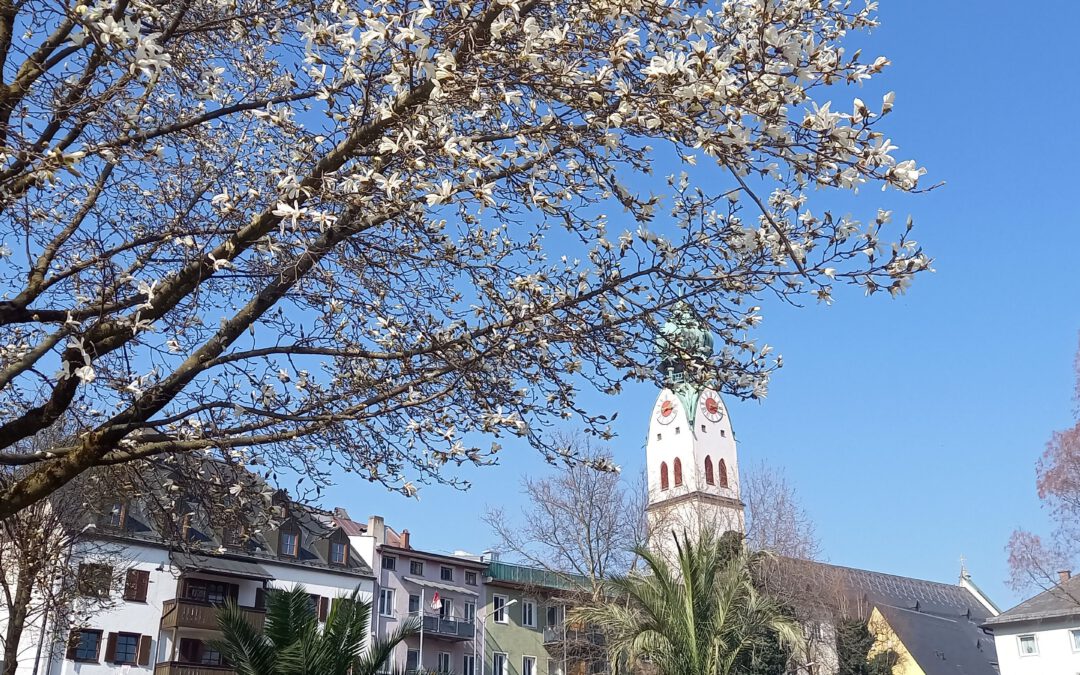 Frühling im Riedergarten