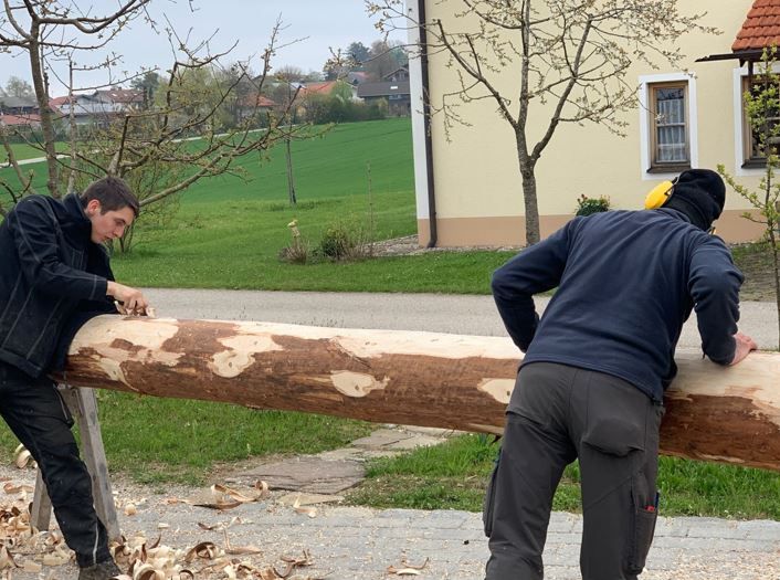 Zwei Männer bearbeiten einen liegenden Baumstamm