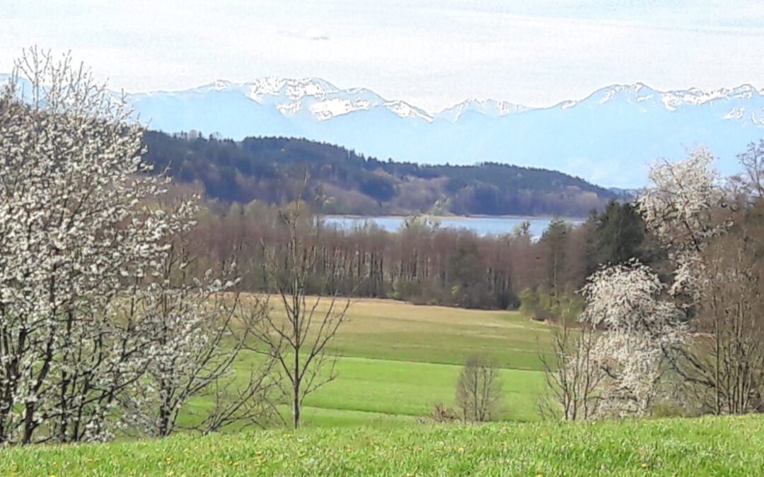 Ausflugstipp: Rundweg bei Eichen am Simssee