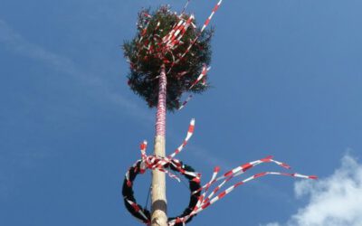 Sachrang stellt wieder auf: Maibaumfest nach zwölf Jahren Pause