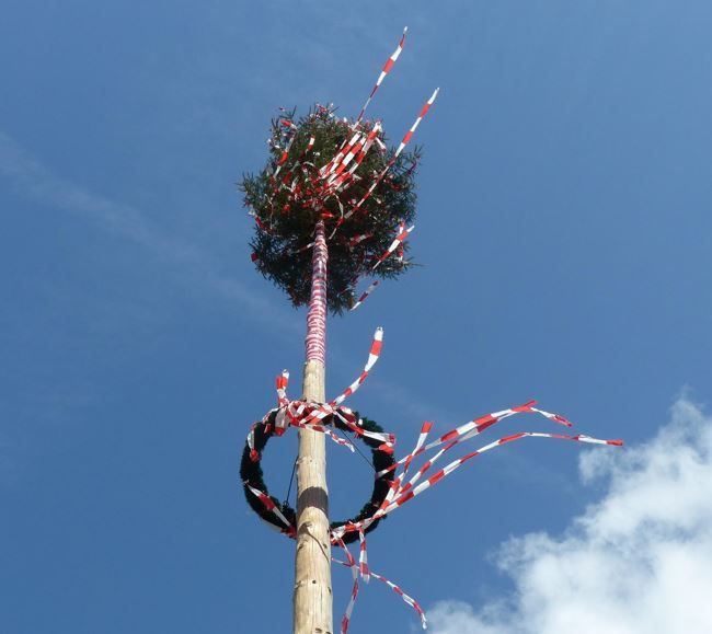 Maibaumspitze mit blau-weißem Himmel im Hintergrund. Rot-weiße Bwänder wehen lustig im Wind