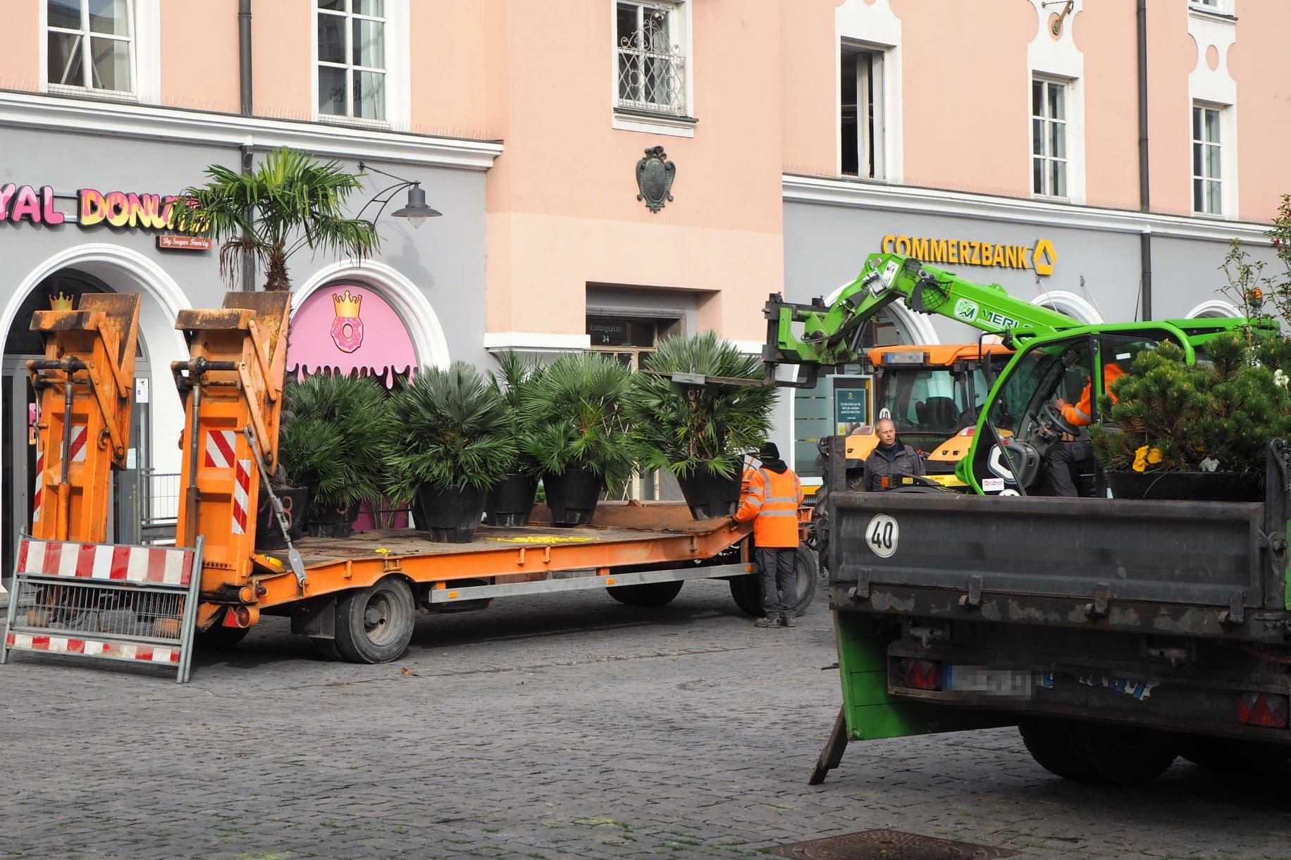 Anhänger mit Palmen und Co. darauf steht am Ludwgisplatz in Rosenheim. Gerade werden die Pflanzen abgeladen.