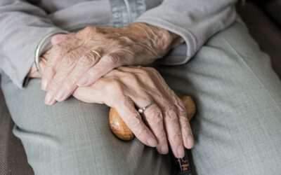 Neue Auflage des Demenzwegweisers für Rosenheim erschienen
