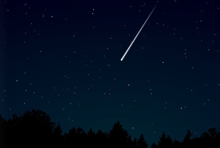 Zeichnung: Dunkler Himmel mit schwarzer Baumsilhouette im unteren Rand. Von rechts oben kommt eine weiße Sternschnuppe