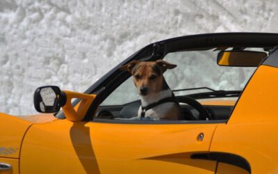 Bilderrallye rund um Bad Aibling: Rätseln für einen guten Zweck