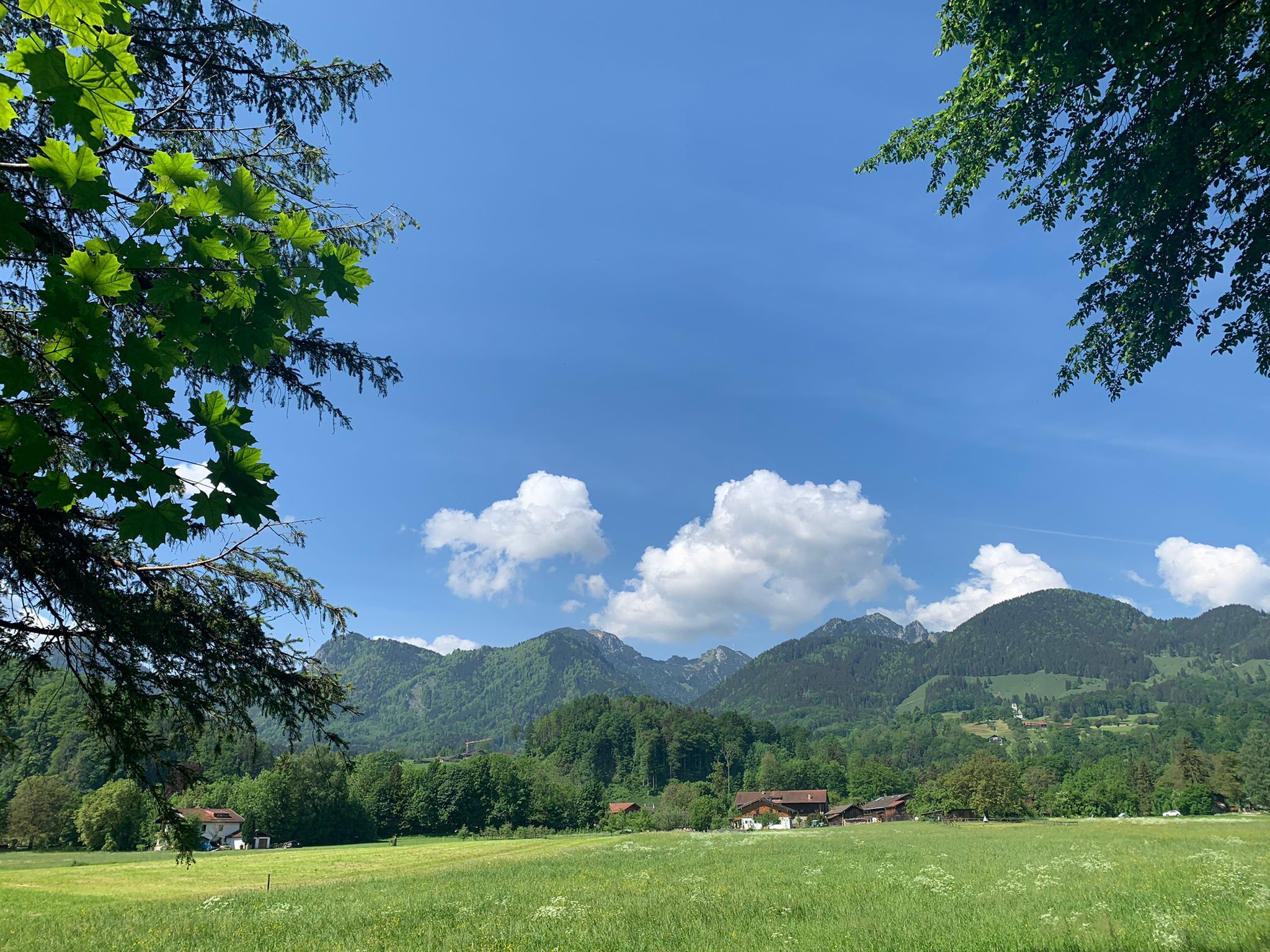 Brannenburg - links und rechts grüne Bäume. Blick auf Wiese, Berge, Blauer Himmel mit Schaefchenwolken