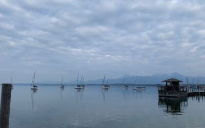 Chiemsee: Elektroboot fährt in Naturschutzgebiet – Ermittlungsverfahren eingeleitet