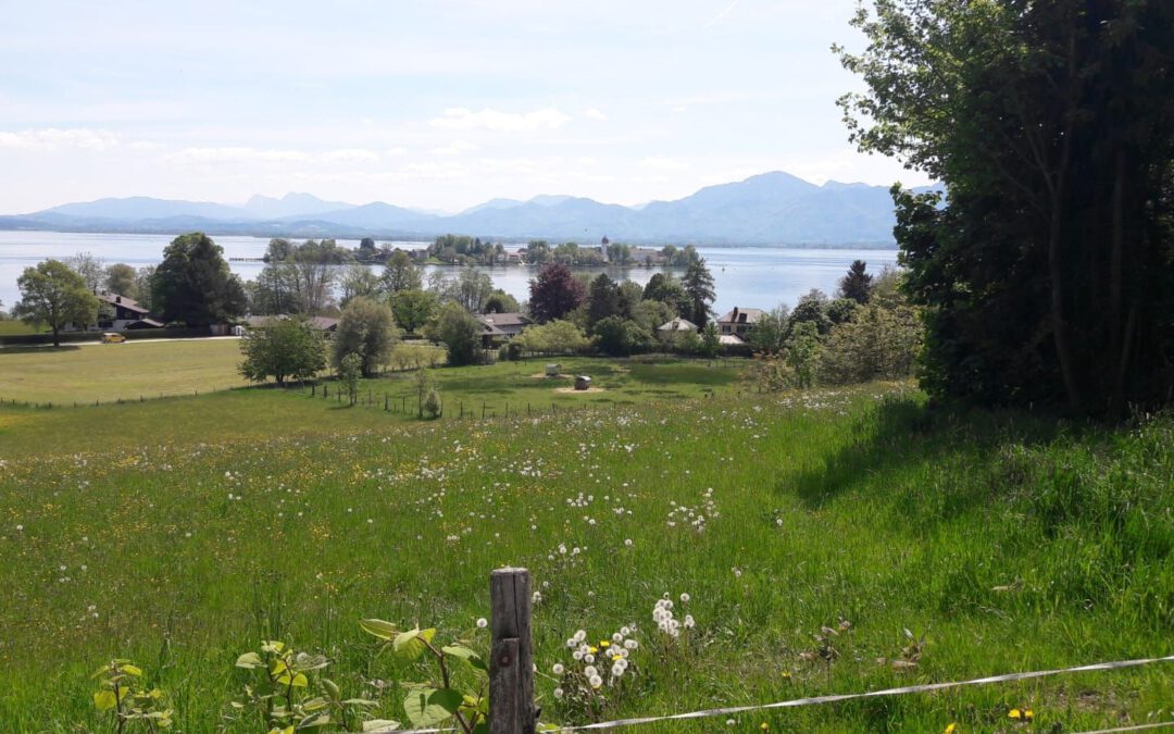 „Unnötiger Rückschritt im Artenschutz“