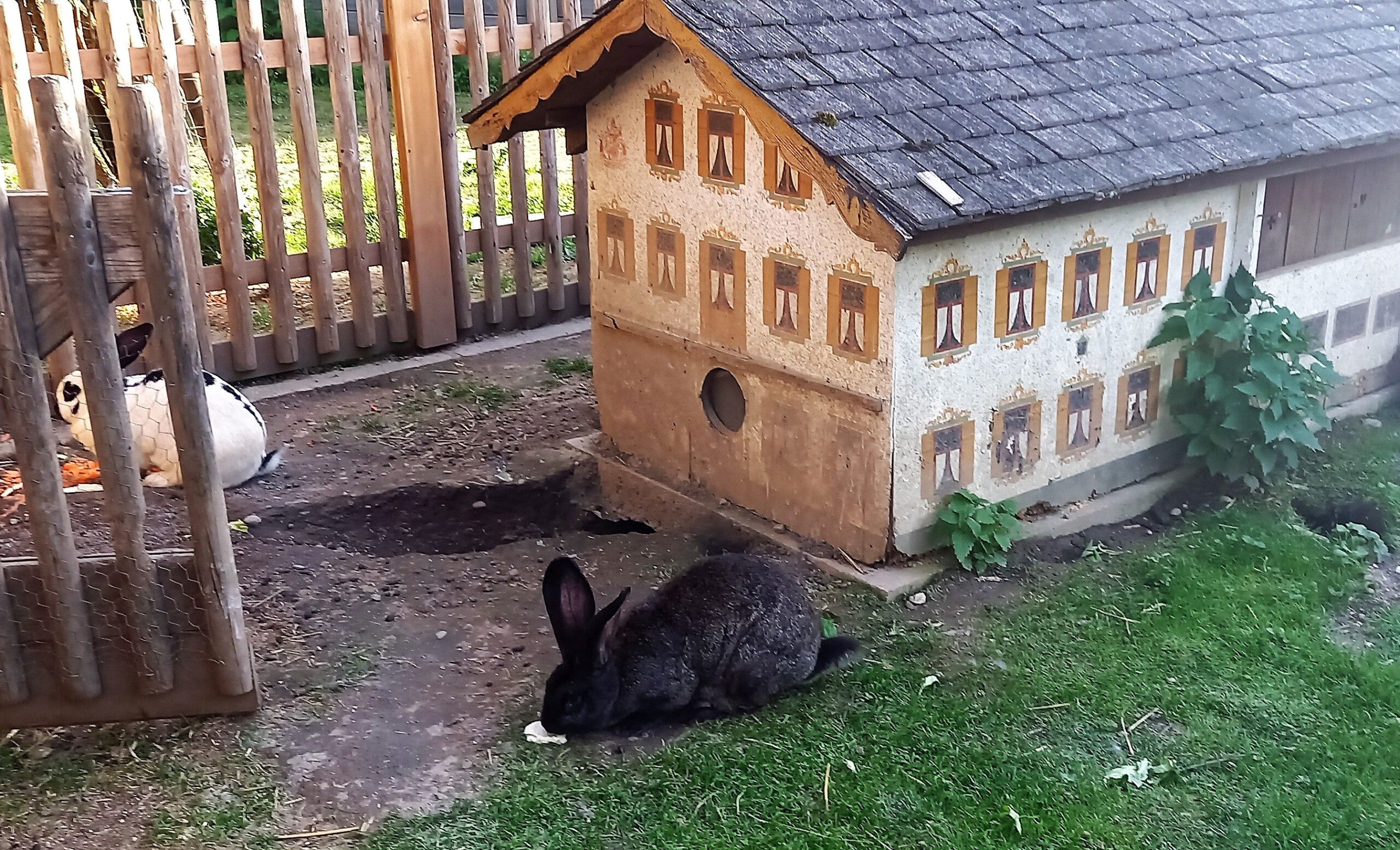 Schwarzer Hase vor Hasenhaus im Stil eines Bauernhofs am Happinger Hof in Rosenheim