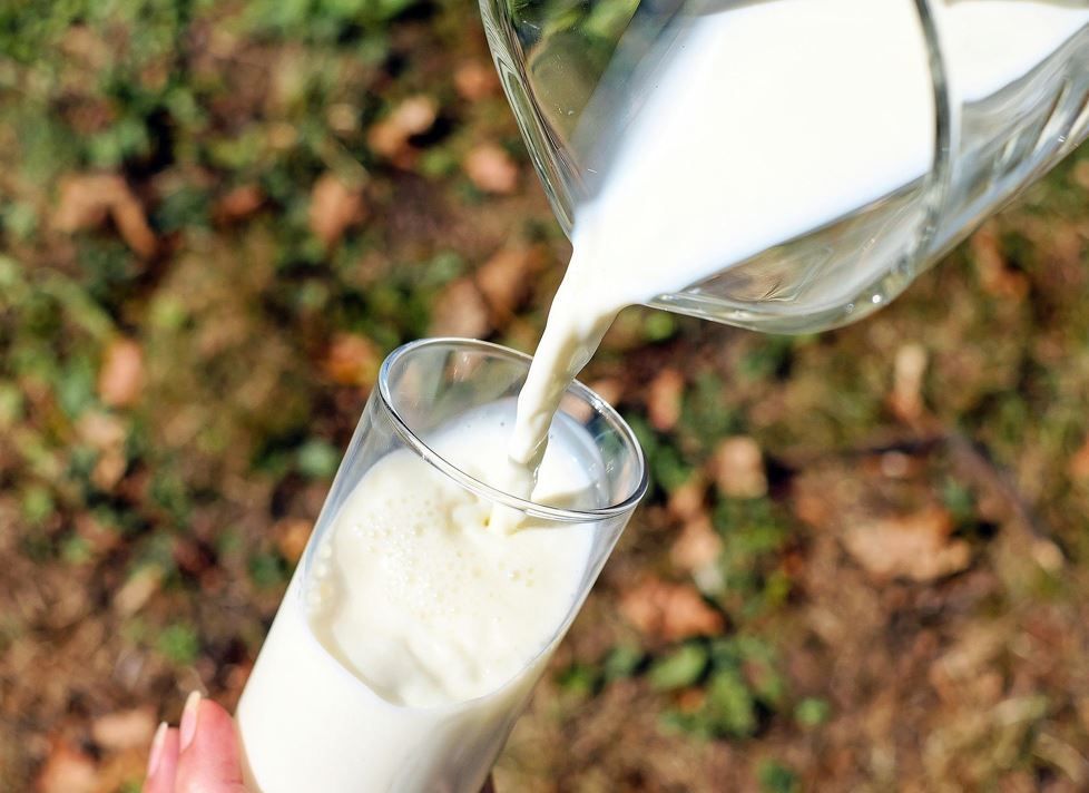 Milch wird aus Glaskrug in Glas geschenkt. Untergrund Wiese