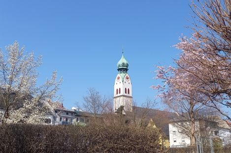Blick vom Riedergarten zum Kirchturm St. Nikolaus. Links und rechts blühende Bäume, blauer Himmel