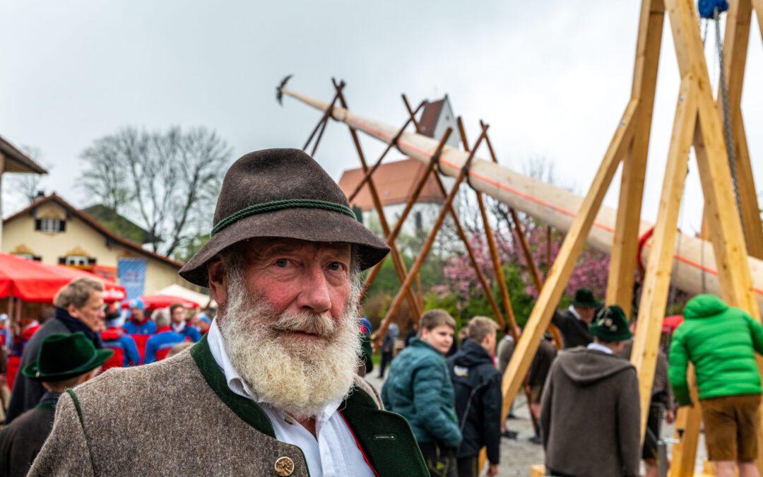 In Törwang steht ein neuer Maibaum