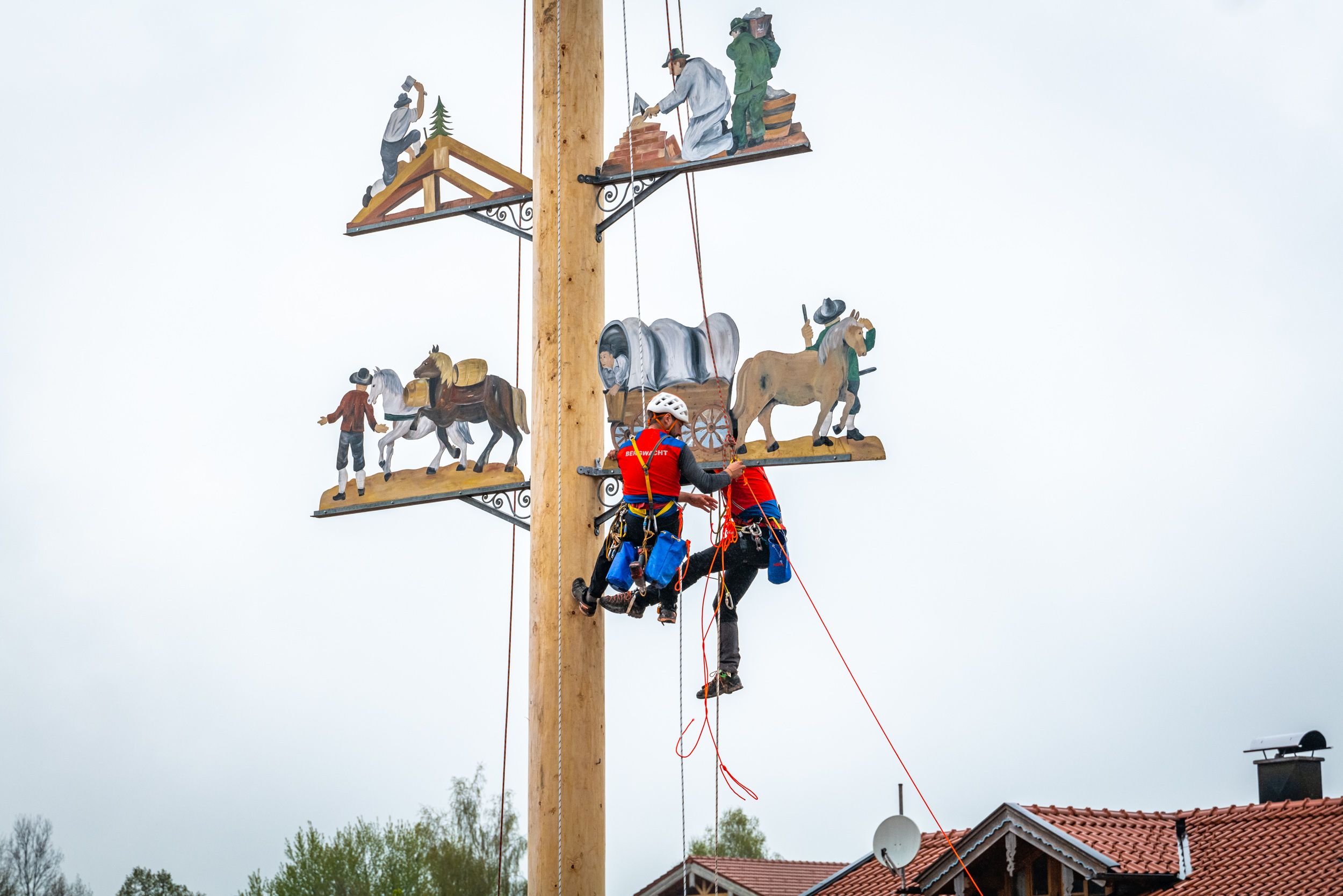 Hoch oben am Maibaum bringen Bergwachtler die Motivfiguren an, gesichert mit Seilen