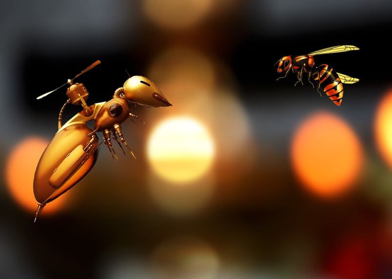 Roboterbiene trifft auf reale Biene