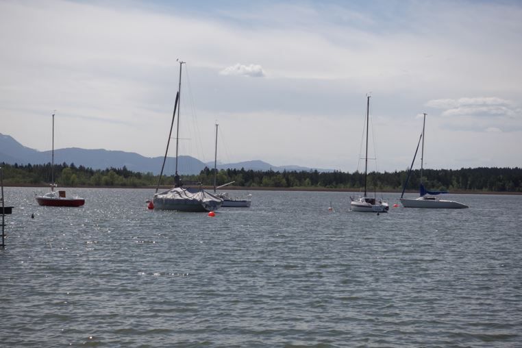 Blick auf Wasser mit Segelbooten