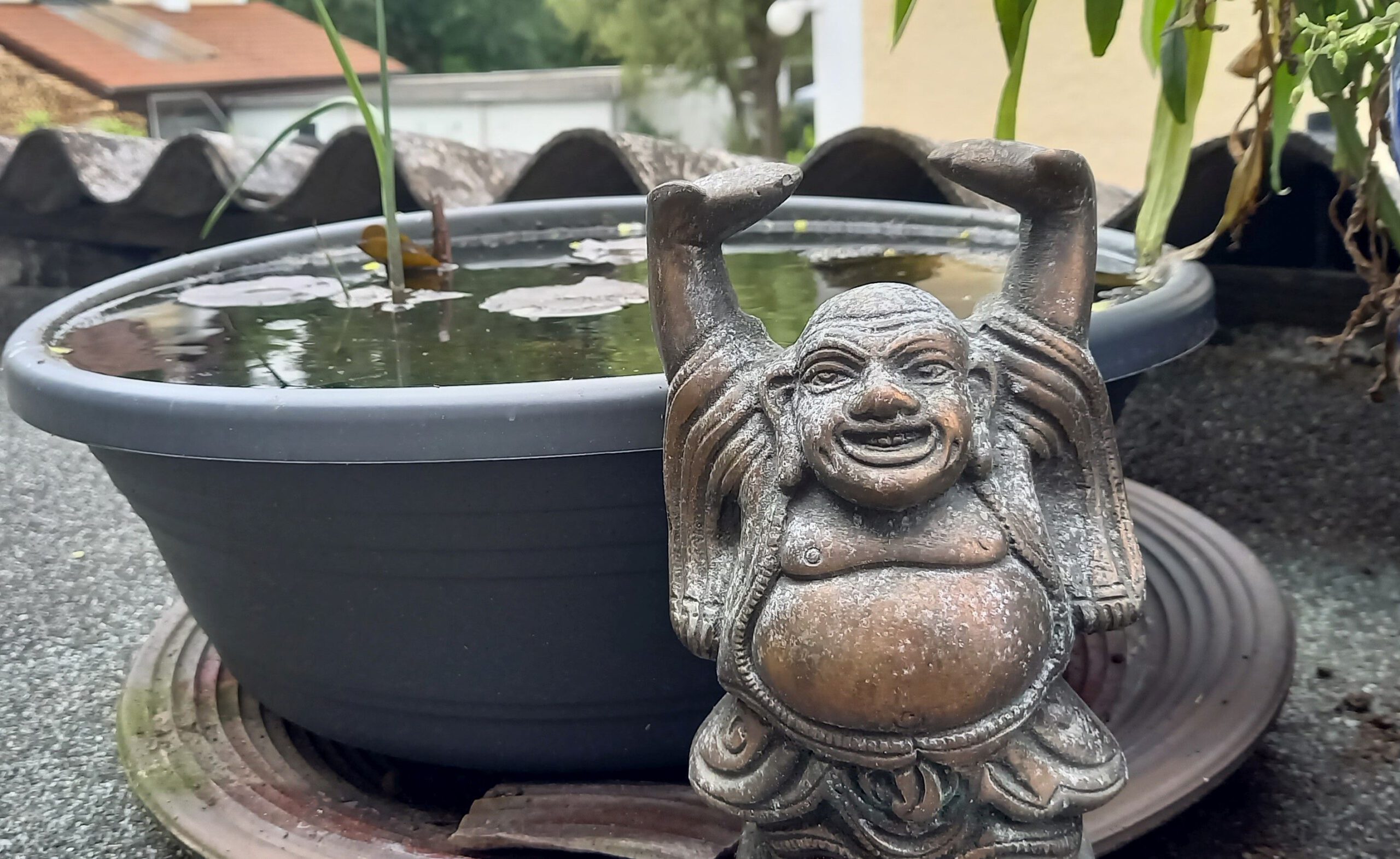 Kleiner Budda vor Wasserschale mit Seerosen