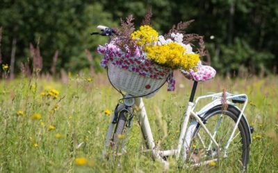 Helfer für BR-Radltour in Rosenheim gesucht