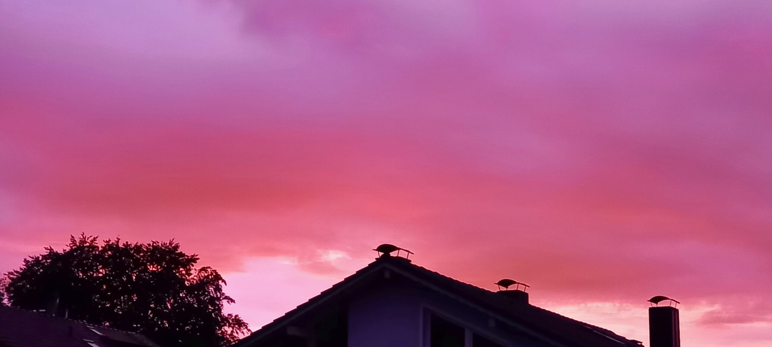 Sonnenuntergang rosa über Dach hinweg fotografiert