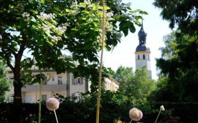 Natur in der Stadt