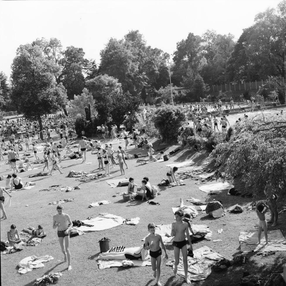 Blick auf Liegewiese im Freibad Rosenheim im Jahr 1968