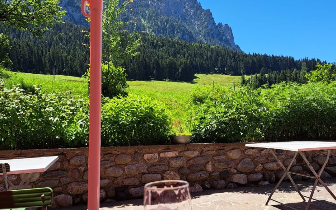 Ausflugstipp: Von der Kölnberg-Alm zur Schwemm