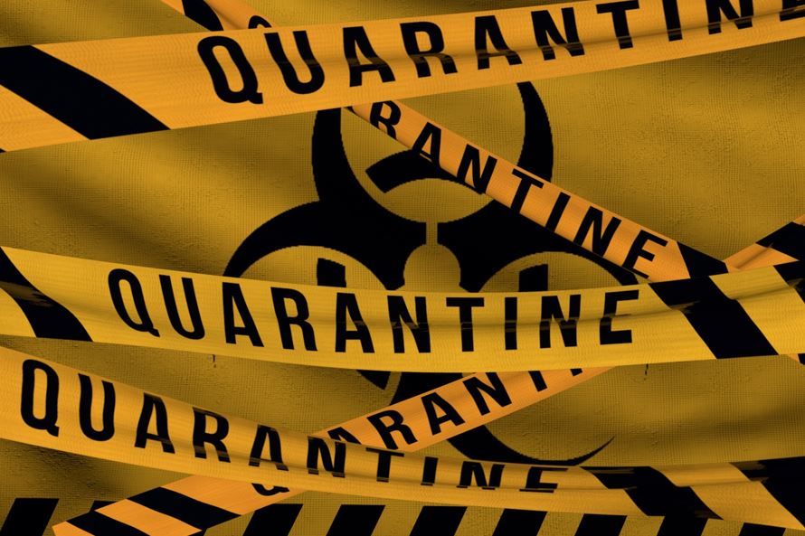 Gelbe Quarantine-Baender