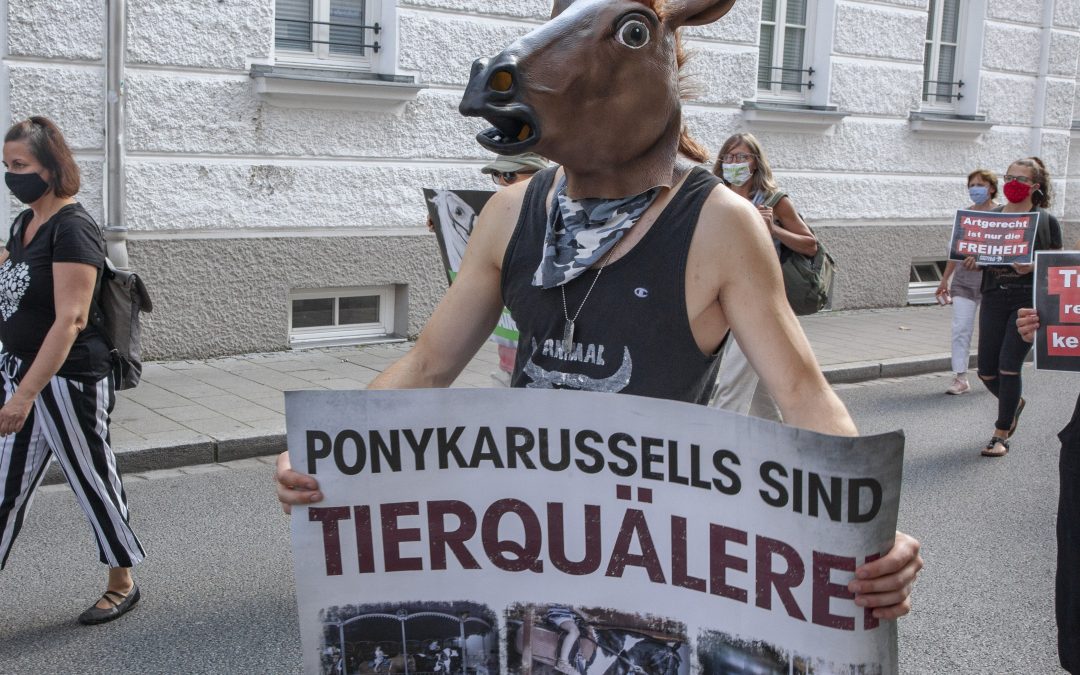 Protest gegen das Ponykarussell