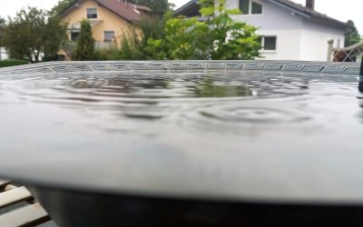 MorgenINNPULS – Schon gewusst?