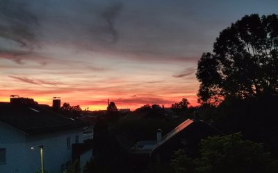 MorgenINNPULS – Schon gewusst?