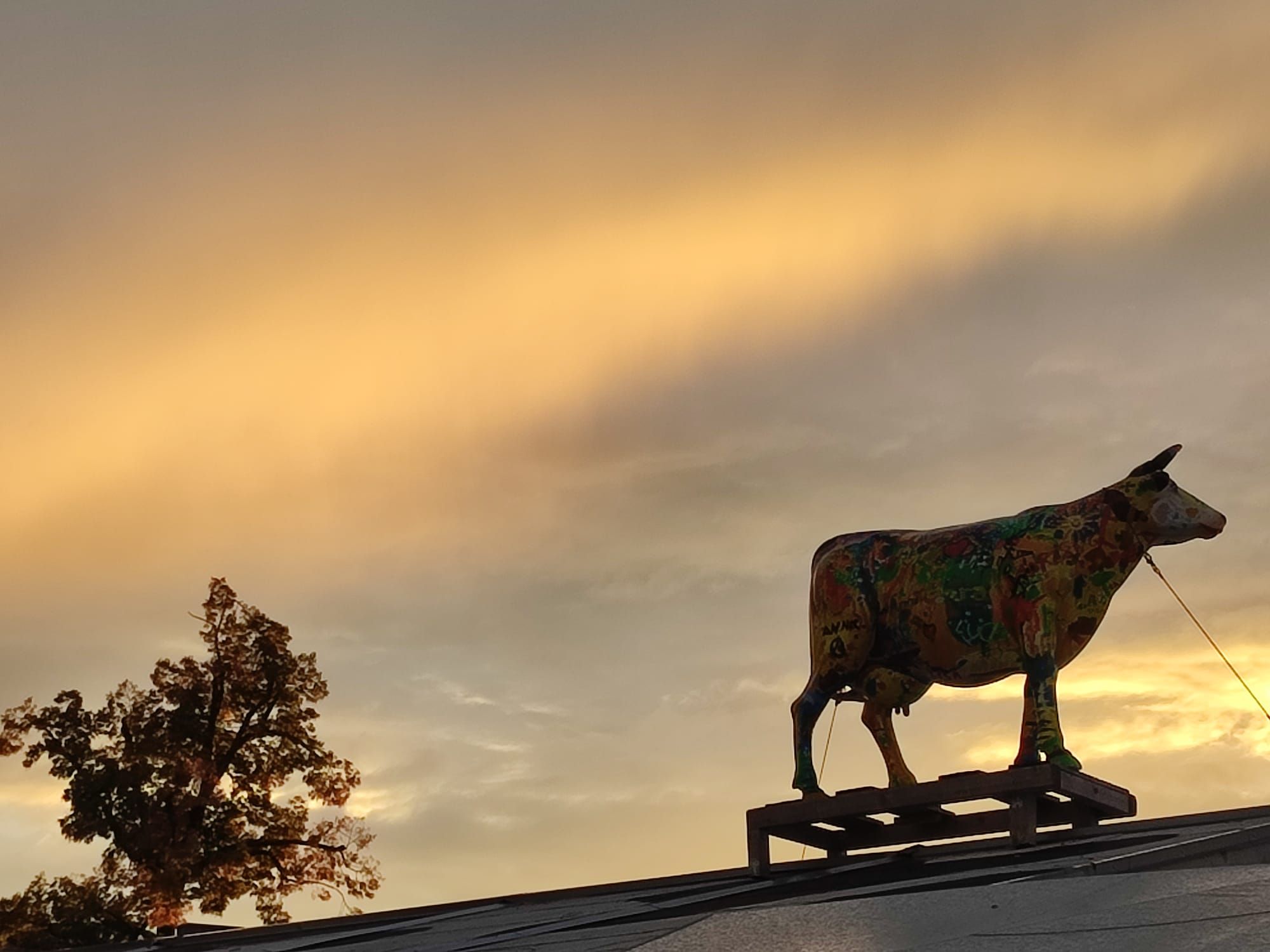 Sonnenuntergang ueber dem Proseccostadel auf dem Herbstfest Rosenheim mit bunter Kuhfigur auf rechter Seite