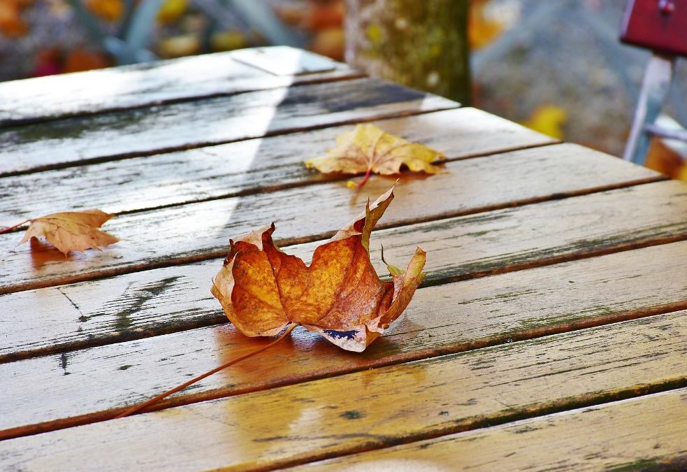 Termine für kostenlose Grüngutabholung