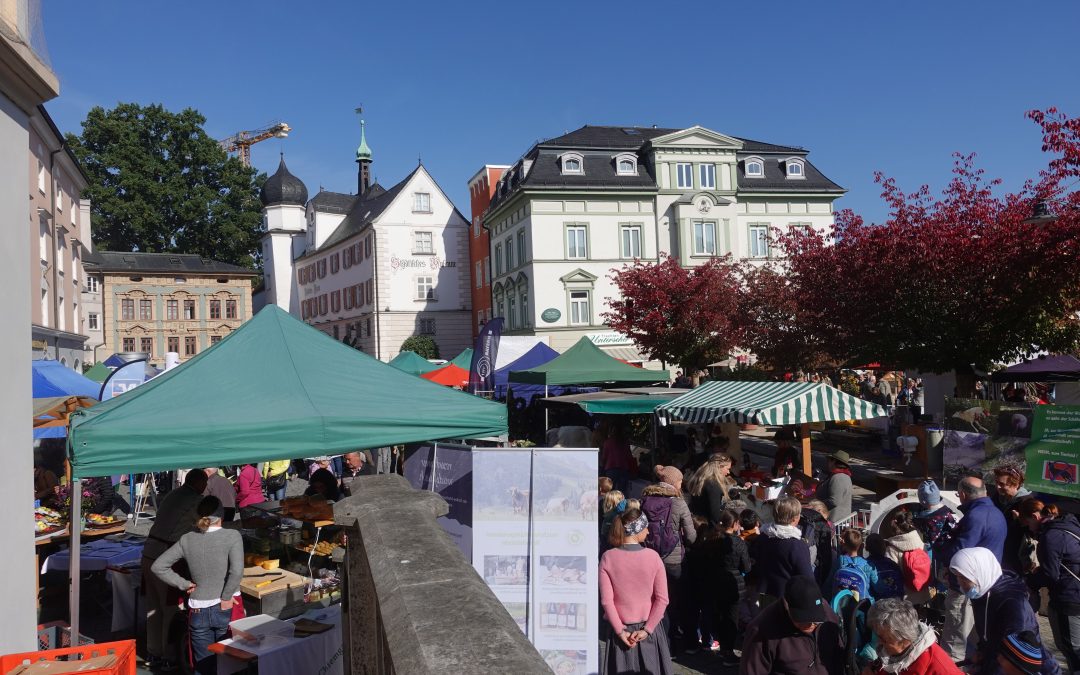 Landwirtschaft in die Stadt verlegt