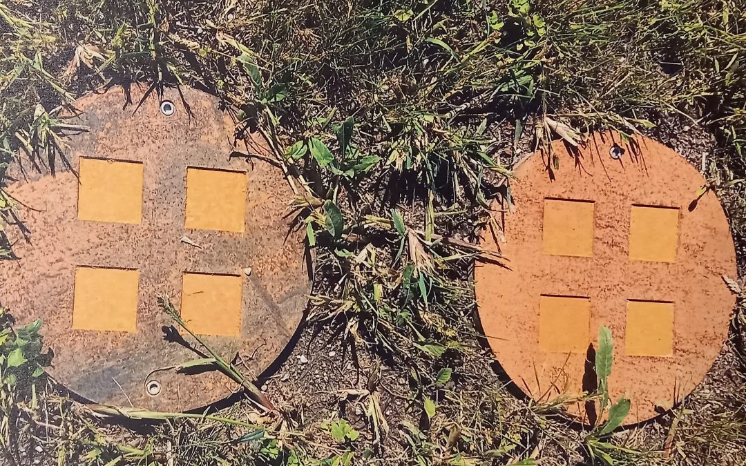 Alternative Bestattungsform