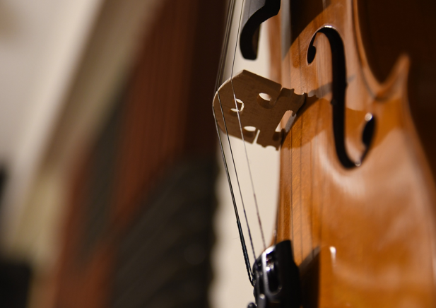 Geige Geige. Foto re